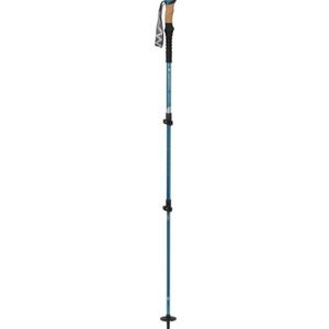 Mountainsmith hiking pole